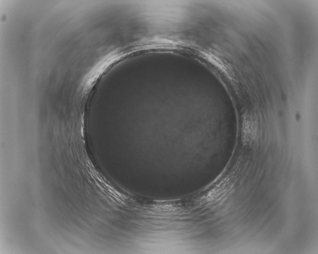 X0000059241455200510141050