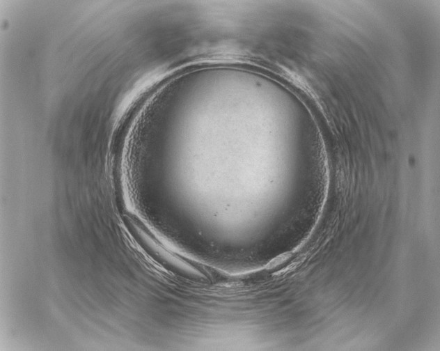 X0000059241464200510141050
