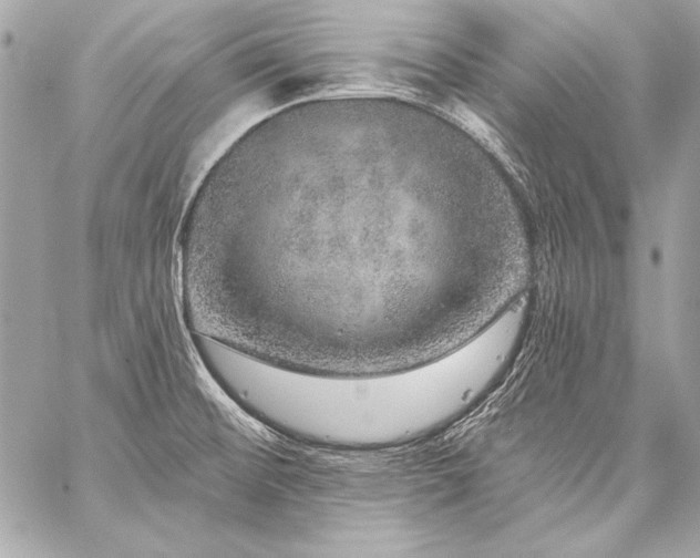 X0000059241476200510141050