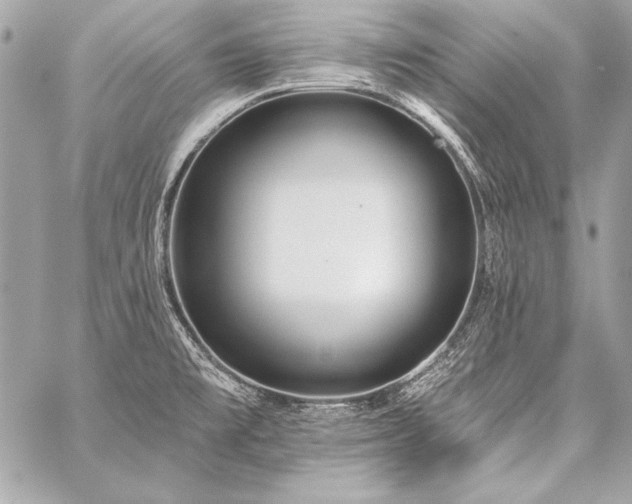 X0000059241477200510141050