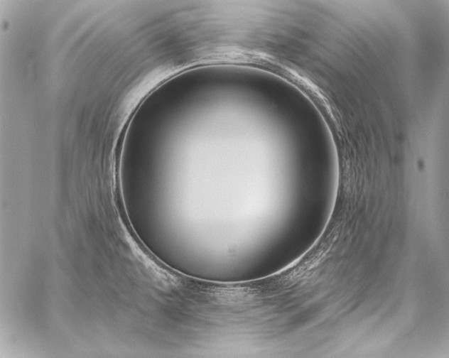 X0000059241479200510141050