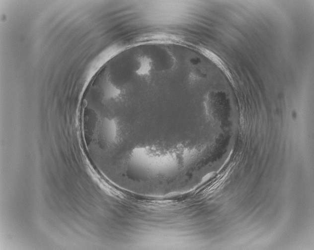 X0000059241482200510141050