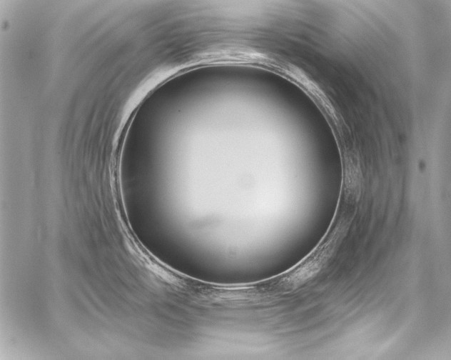 X0000059241486200510141050