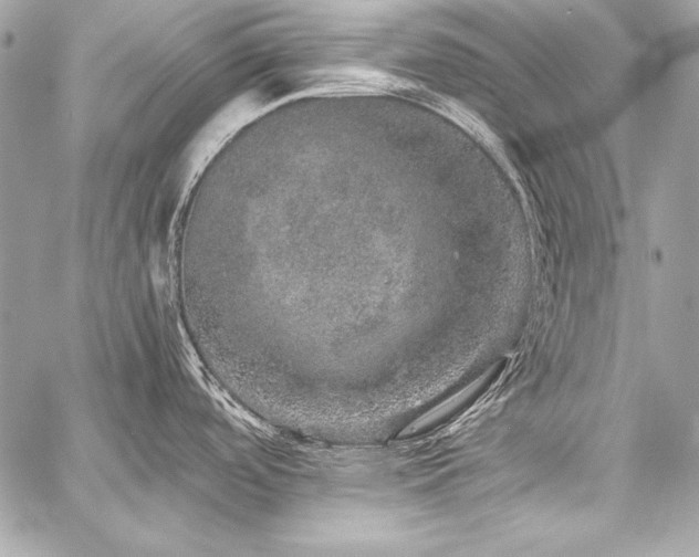 X0000059241488200510141050