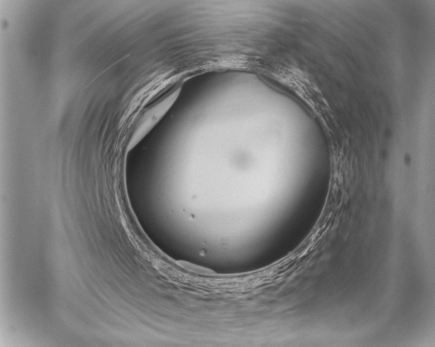 X0000059240001200510171443