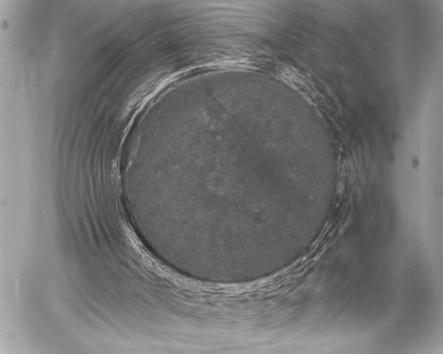 X0000059240002200510171443