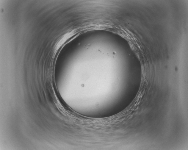 X0000059240003200510171443