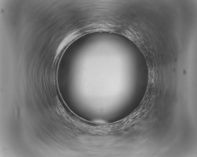 X0000059240004200510171443