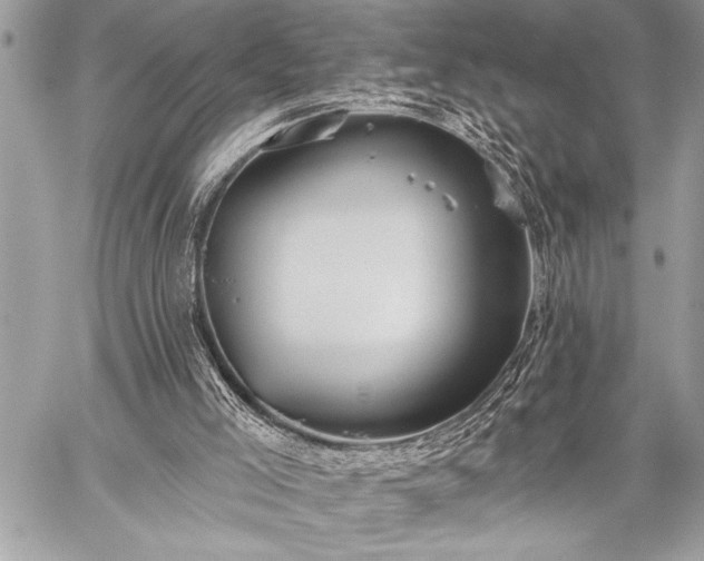 X0000059240005200510171443