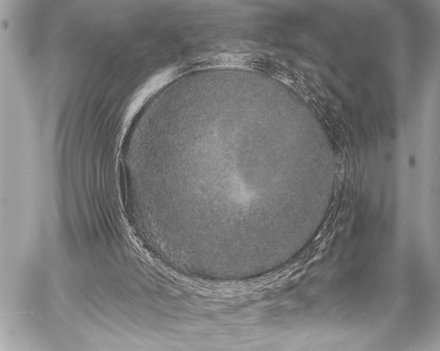 X0000059240006200510171443