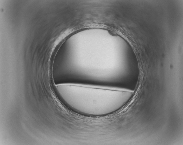 X0000059240008200510171443