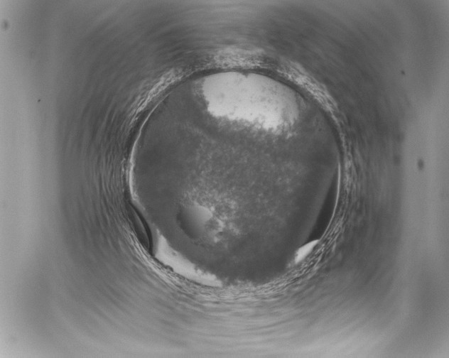 X0000059240009200510171443