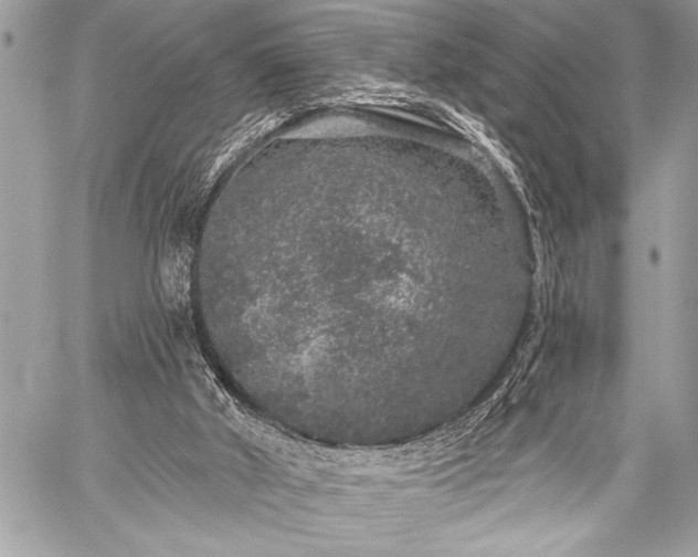 X0000059240010200510171443