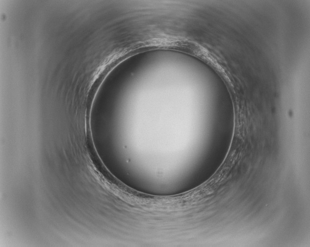 X0000059240011200510171443