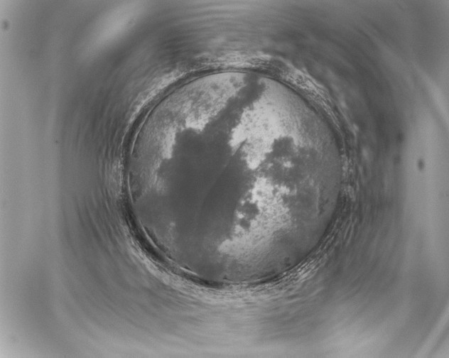 X0000059240012200510171443