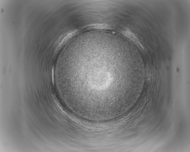 X0000059240014200510171443