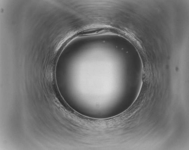 X0000059240015200510171443