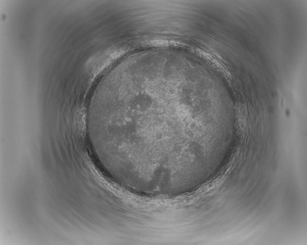 X0000059240016200510171443