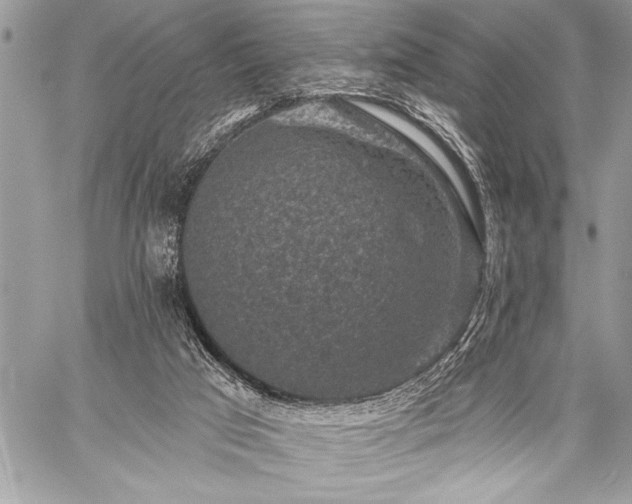 X0000059240017200510171443