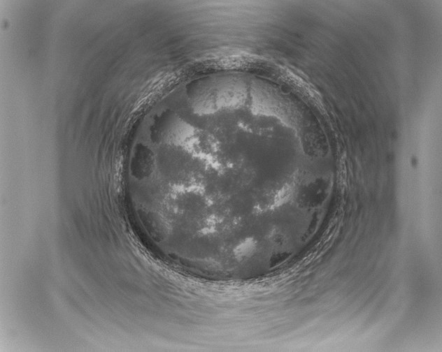 X0000059240018200510171443