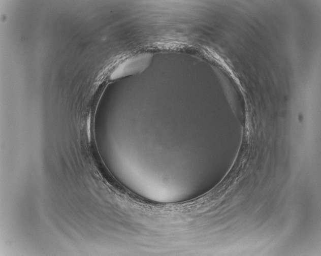 X0000059240019200510171443