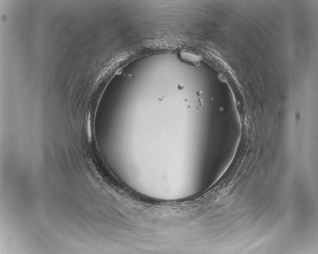 X0000059240020200510171443