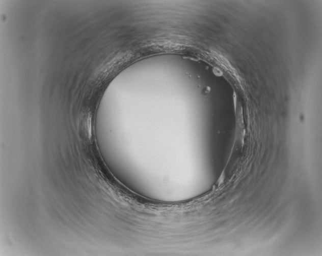 X0000059240021200510171443