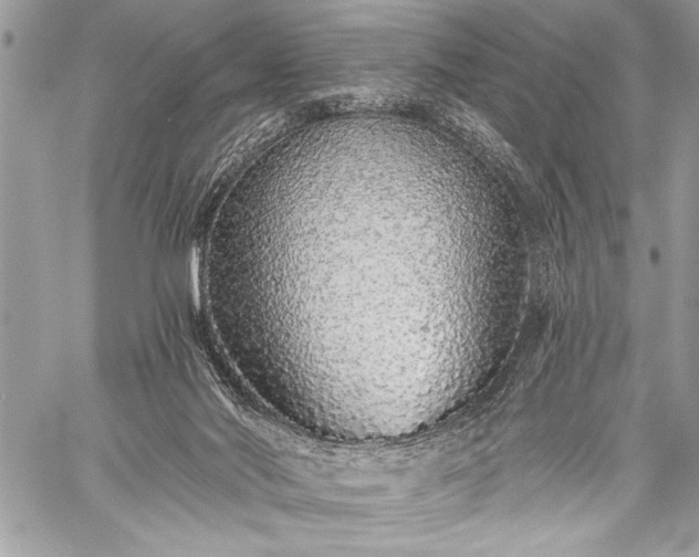 X0000059240022200510171443