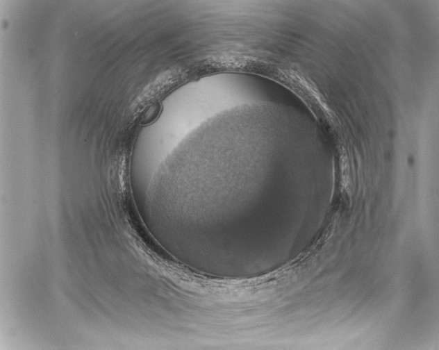 X0000059240023200510171443