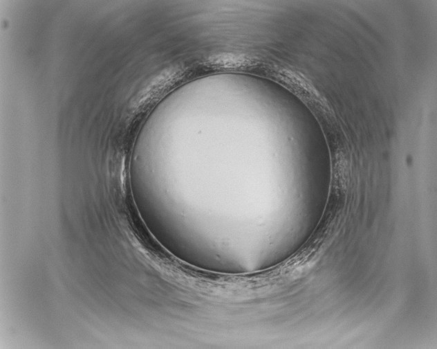 X0000059240024200510171443