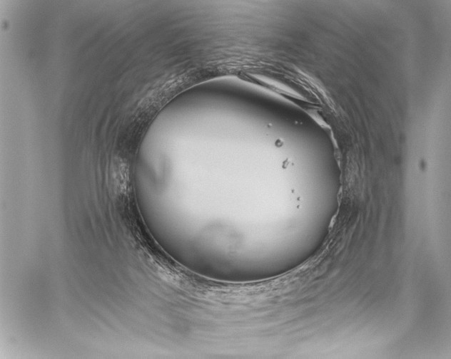 X0000059240025200510171443