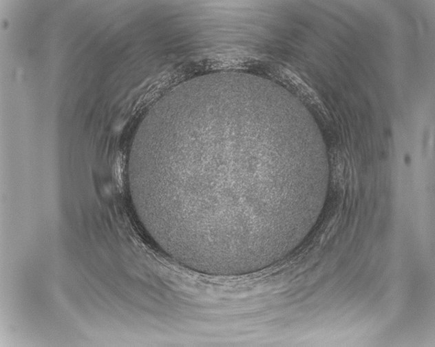 X0000059240026200510171443