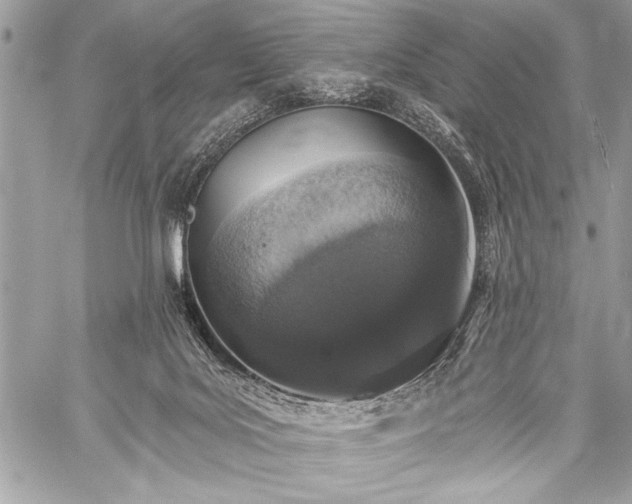 X0000059240027200510171443