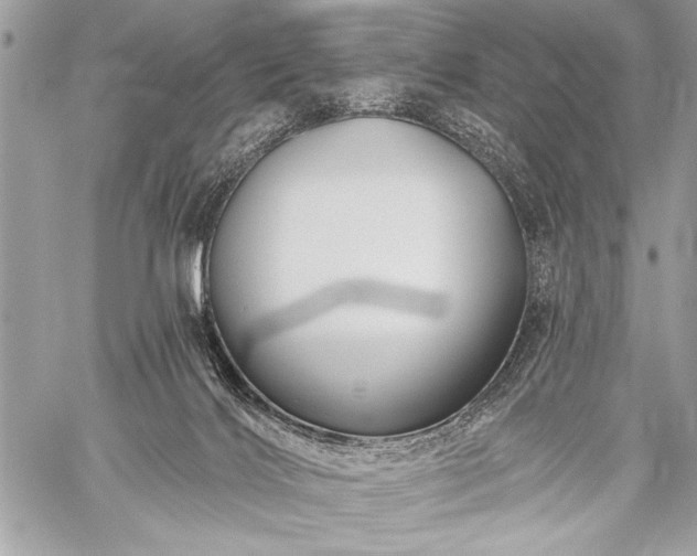 X0000059240028200510171443