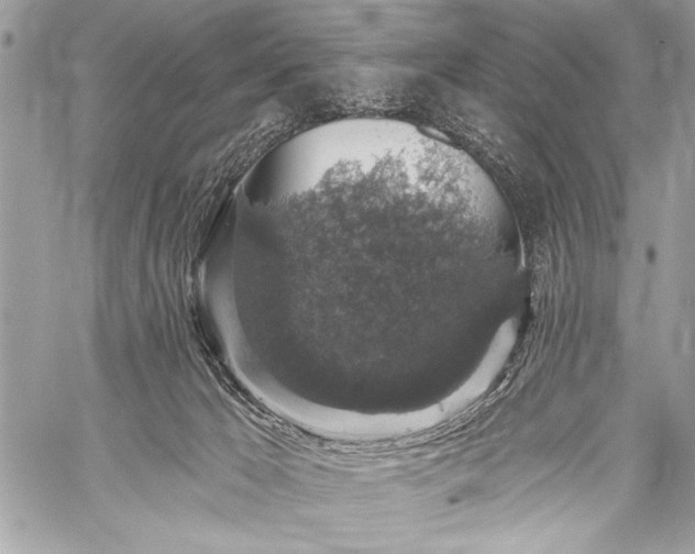 X0000059240029200510171443