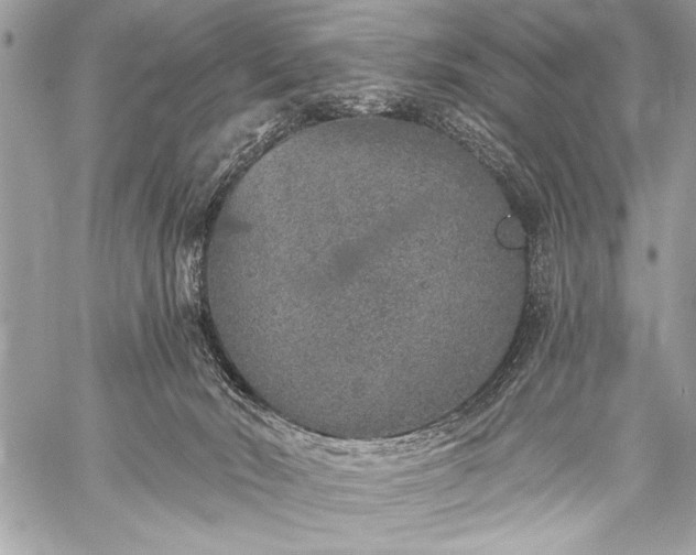 X0000059240030200510171443