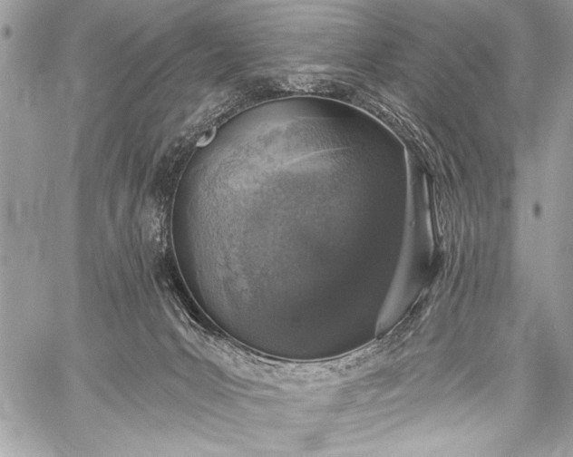 X0000059240031200510171443