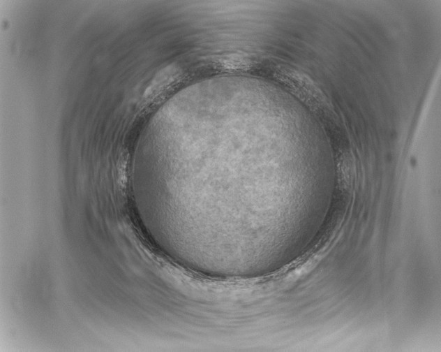 X0000059240032200510171443