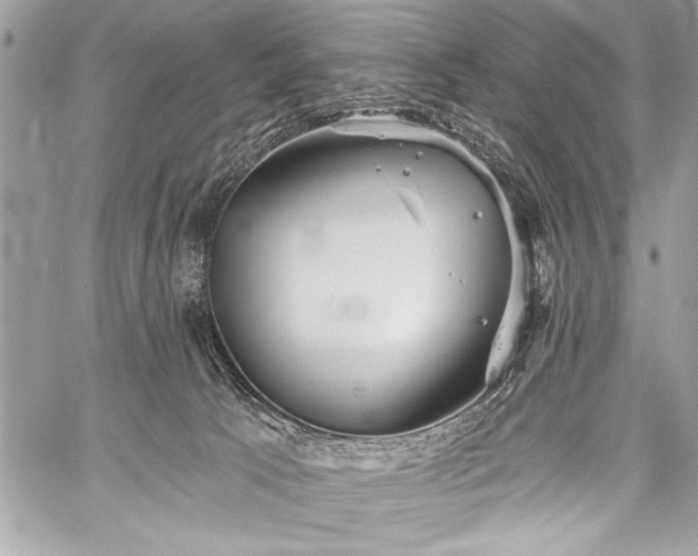 X0000059240033200510171443