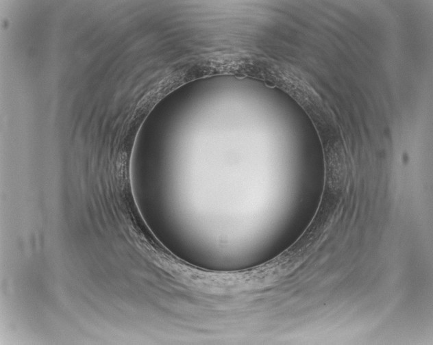 X0000059240034200510171443