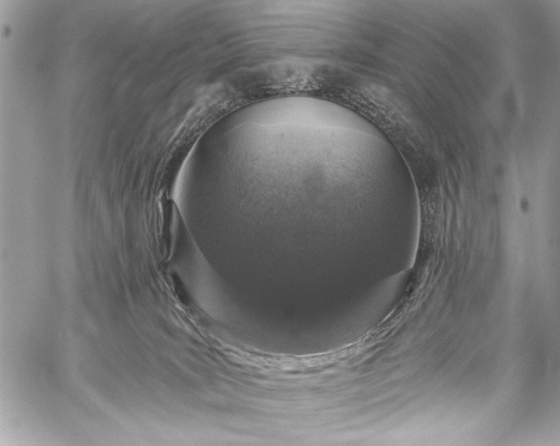 X0000059240035200510171443