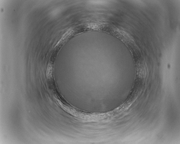 X0000059240036200510171443