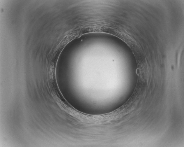 X0000059240038200510171443