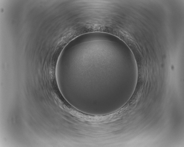 X0000059240039200510171443