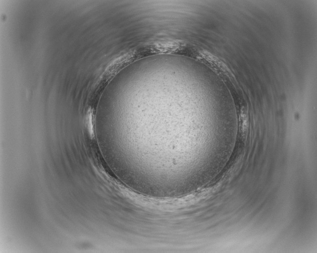 X0000059240042200510171443