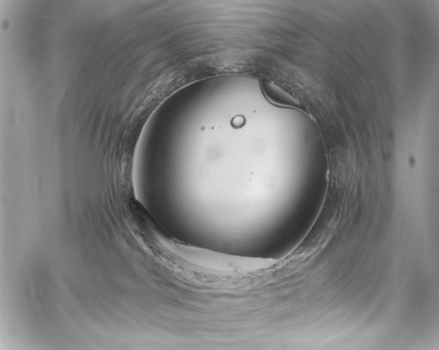 X0000059240044200510171443