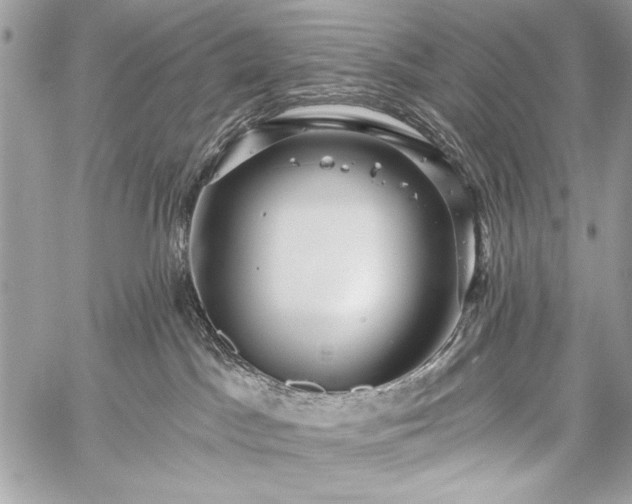 X0000059240045200510171443