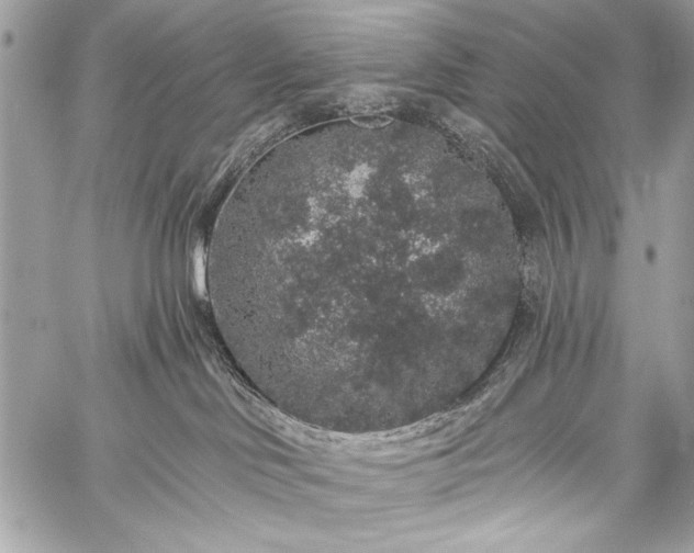 X0000059240046200510171443