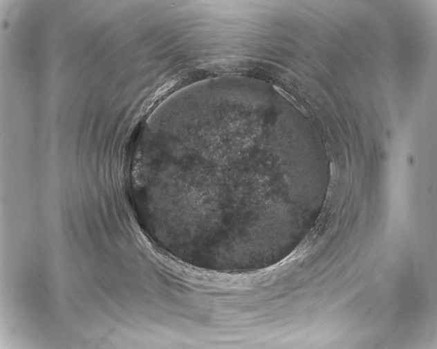 X0000059240048200510171443