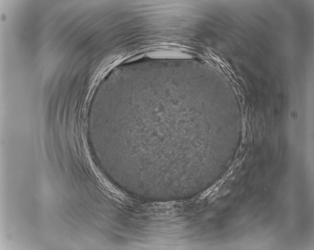 X0000059240049200510171442